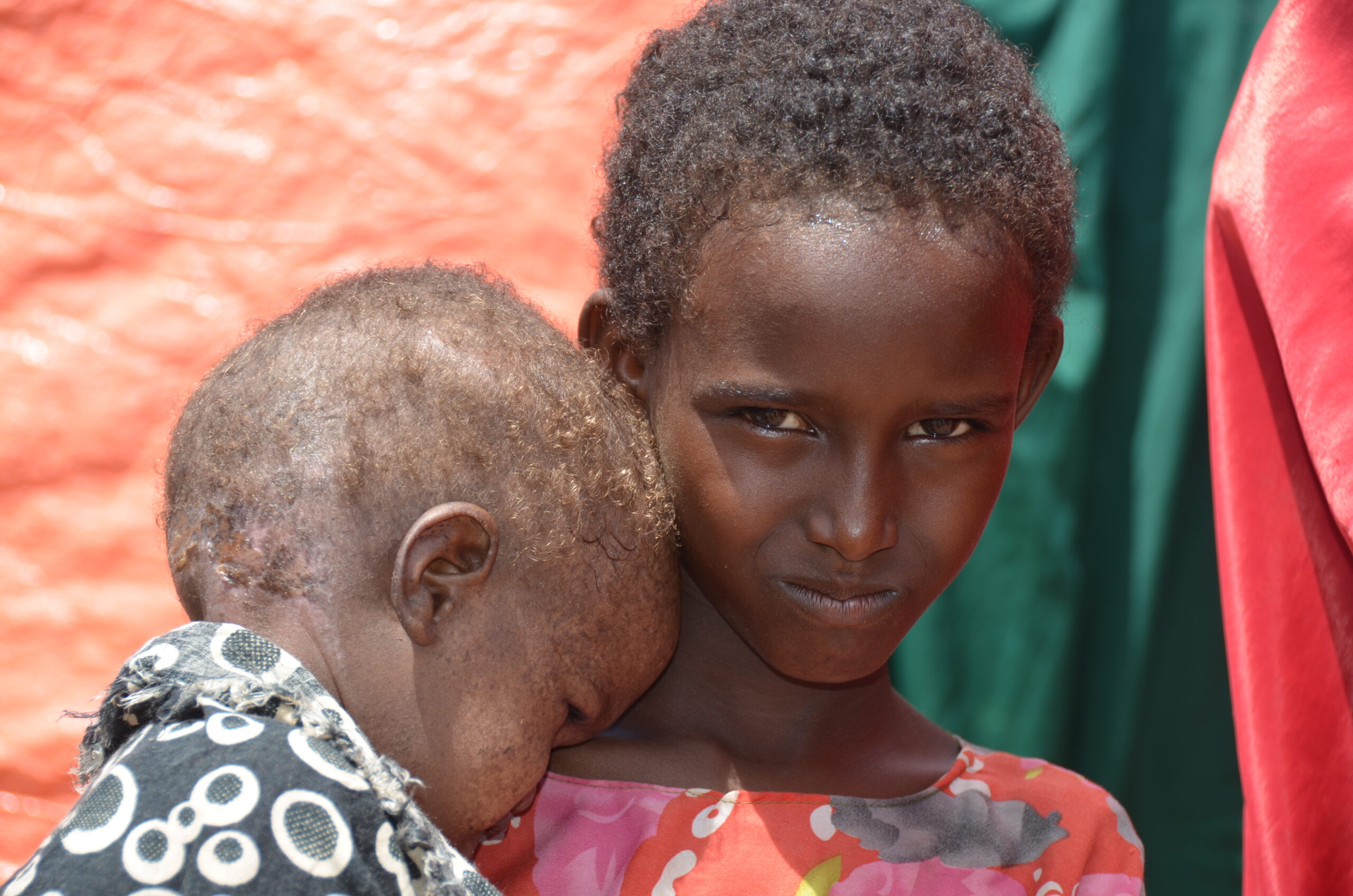 2022 Accomplishments | The Denan Project